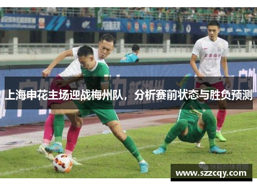 上海申花主场迎战梅州队，分析赛前状态与胜负预测