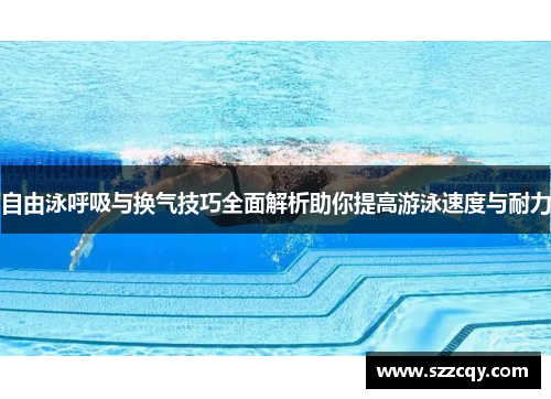 自由泳呼吸与换气技巧全面解析助你提高游泳速度与耐力