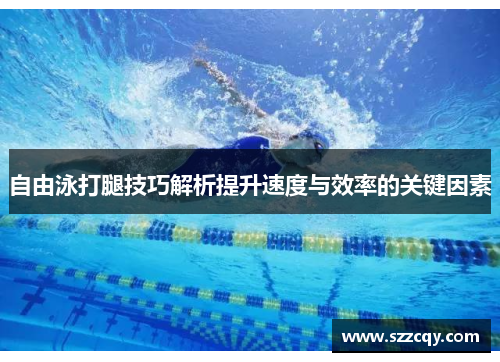 自由泳打腿技巧解析提升速度与效率的关键因素